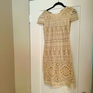 BEBE dress lace formal attire gorgeous blogger favorite fashion timeless classic
